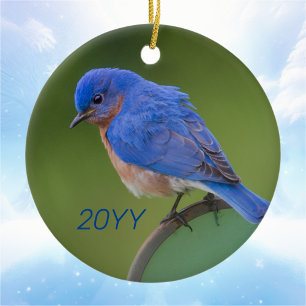Bluebird 2022 Christmas Ceramic Ornament