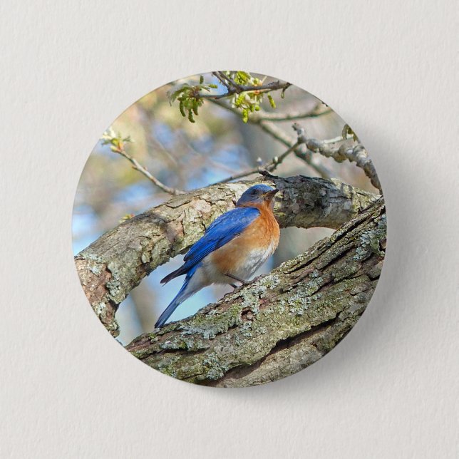 Bluebird 2 Inch Round Button (Front)