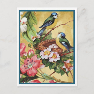 bluebird 7 postcard