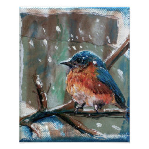 Bluebird Adorable Art Photo Print
