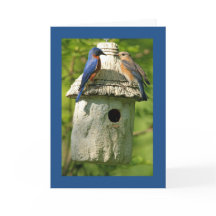 bluebird anniversary card