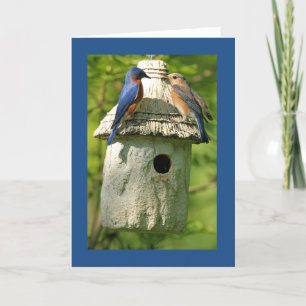 bluebird anniversary card