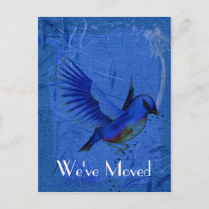 Bluebird Art New Address Nature Postcard