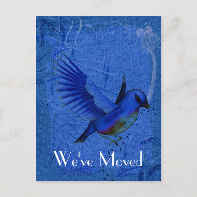 Bluebird Art New Address Nature Postcard (Front)