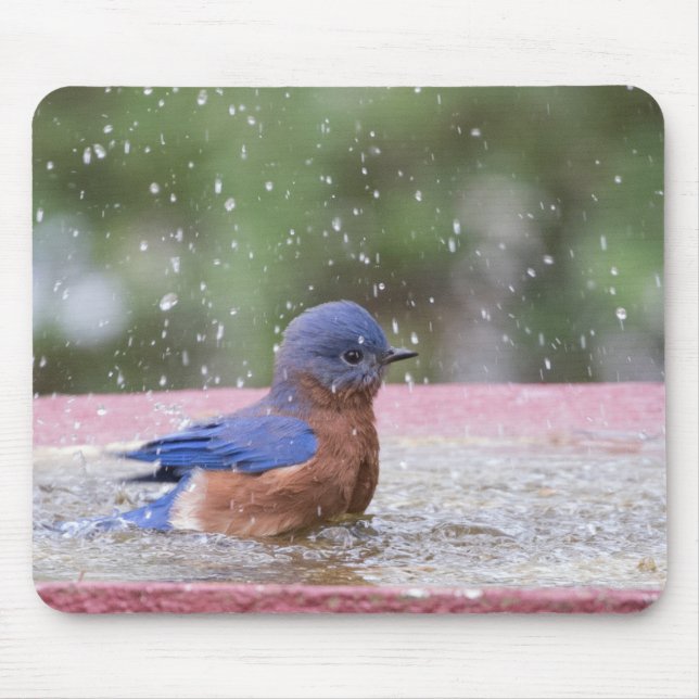 Bluebird at Birdbath Mouse Pad (Front)