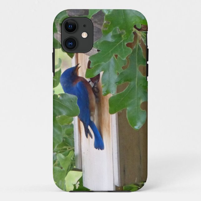 Bluebird at Home Case-Mate iPhone Case (Back)