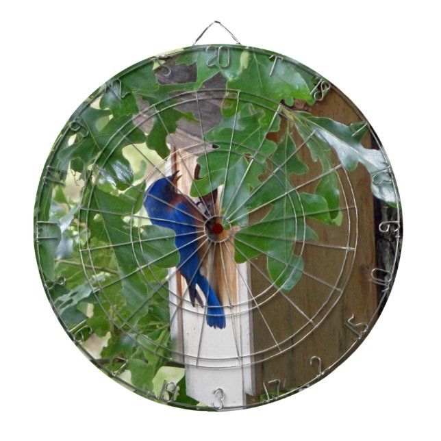 Bluebird at Home Dartboard (Front)