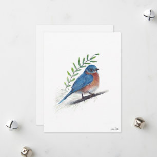 Bluebird Bird Art Holiday Card