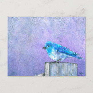 Bluebird Bliss Postcard