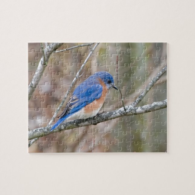 Bluebird Blue Bird in Tree Jigsaw Puzzle (Horizontal)