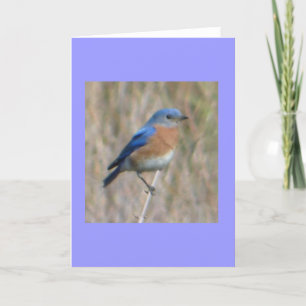 "Bluebird" Card