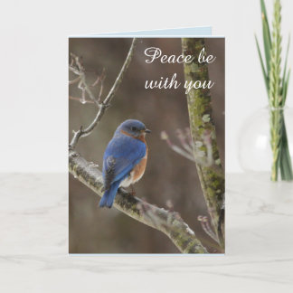 Bluebird Christmas card