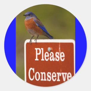 bluebird classic round sticker