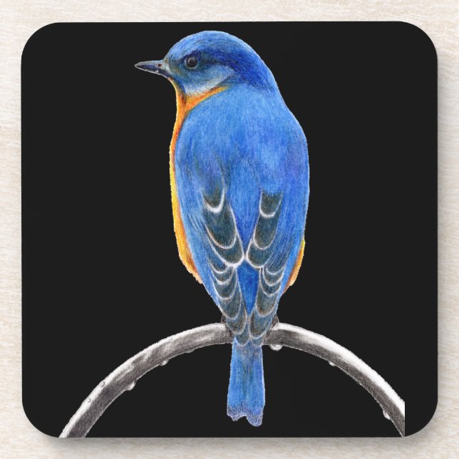 Bluebird Coaster (Front)