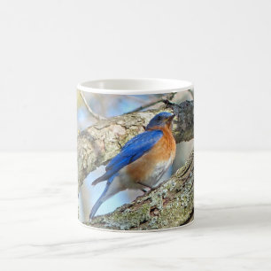 Bluebird Coffee Mug