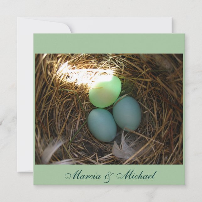 Bluebird Eggs times three (Front)