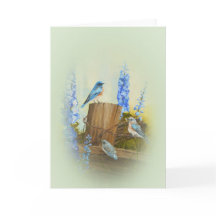 Bluebird Family Greeting