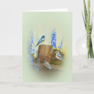 Bluebird Family Greeting Card