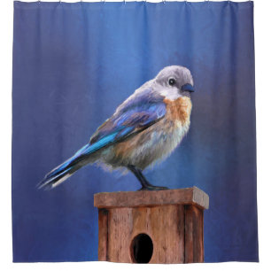 Bluebird (Female) Painting - Original Bird Art