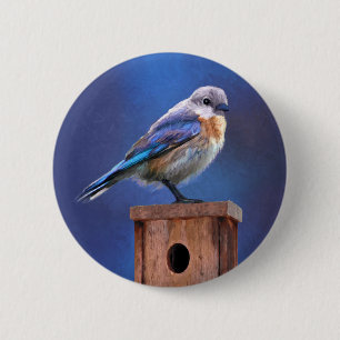 Bluebird (Female) Painting - Original Bird Art 2 Inch Round Button