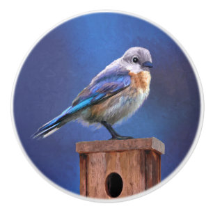 Bluebird (Female) Painting - Original Bird Art Ceramic Knob