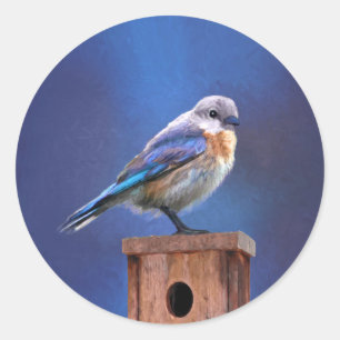 Bluebird (Female) Painting - Original Bird Art Classic Round Sticker
