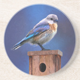 Bluebird (Female) Painting - Original Bird Art Coaster