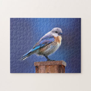Bluebird (Female) Painting - Original Bird Art Jigsaw Puzzle