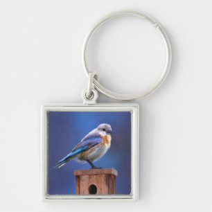 Bluebird (Female) Painting - Original Bird Art Keychain