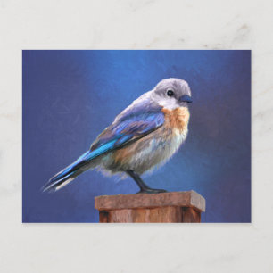 Bluebird (Female) Painting - Original Bird Art Postcard