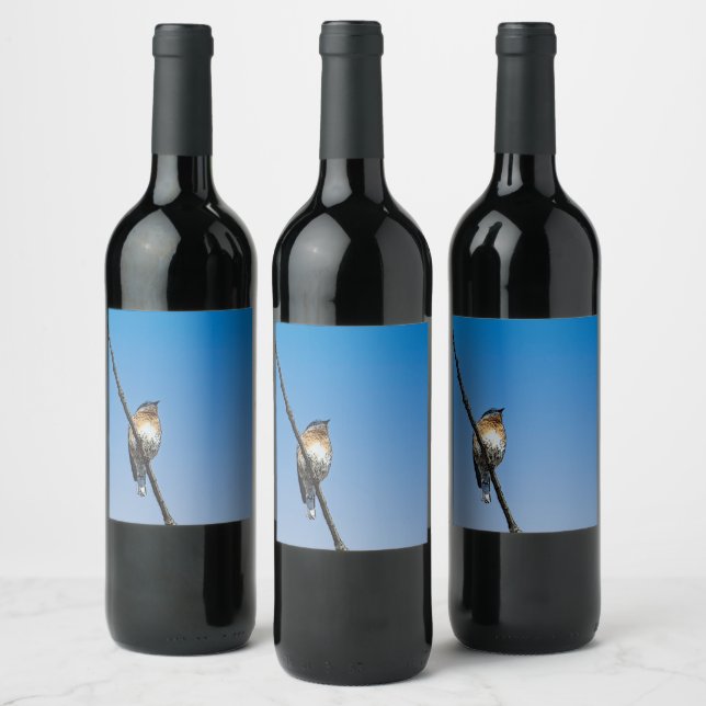 Bluebird Food and Beverage Label Set (Bottles)