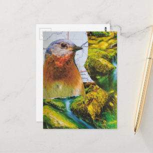 Bluebird Forest Map Collage Postcard