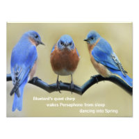 Bluebird Haiku Poster
