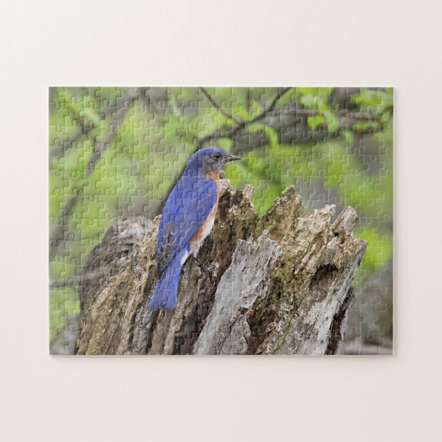 Bluebird Jigsaw Puzzle (Horizontal)