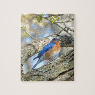 Bluebird Jigsaw Puzzle