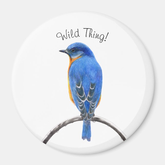 Bluebird Magnet (Front)