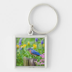 Bluebird male on fence post in flower garden keychain