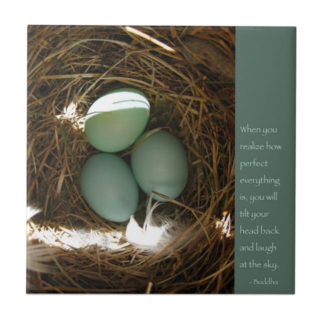 Bluebird Nest w/ Buddha Quote Tile (Front)