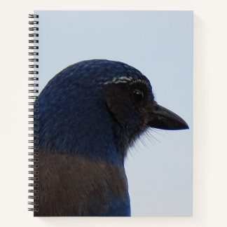 Bluebird Notebook