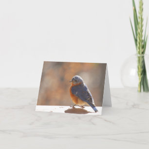 Bluebird Notecard - Blank Inside