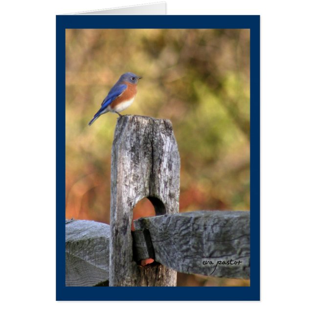 Bluebird of Happiness ~ Art Mooney (Front)