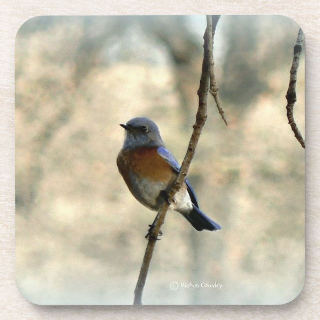 Bluebird of Happiness Coasters (Front)