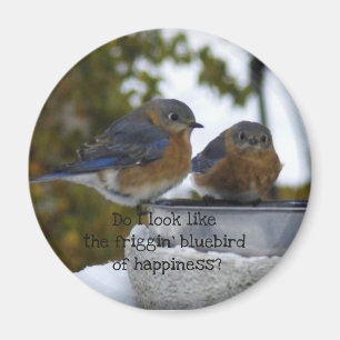 Bluebird of Happiness Comical Magnet