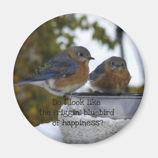 Bluebird of Happiness Comical Magnet (Front)