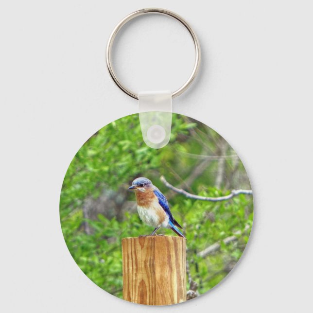 Bluebird on a Fence Post Keychain (Front)