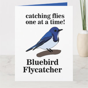 Bluebird On Branch Funny Birthday Card
