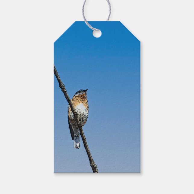 Bluebird on branch gift tags (Front)
