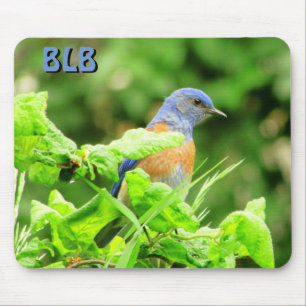 Bluebird on Corkscrew Bush your Initials Mouse Pad