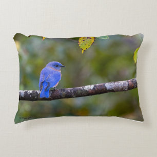 BlueBird on Throw Pillow