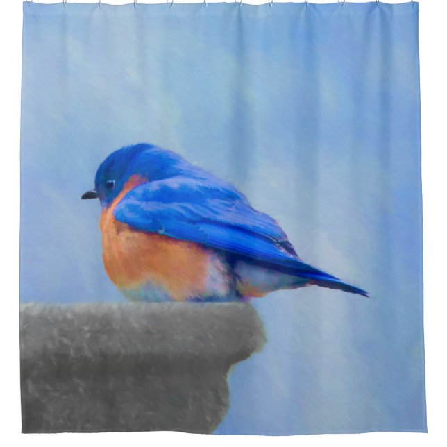 Bluebird Painting - Original Bird Art (Front)